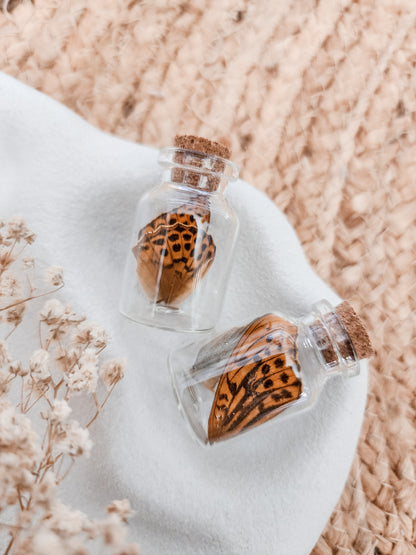Butterfly Wings Bottle 🦋 SMALL